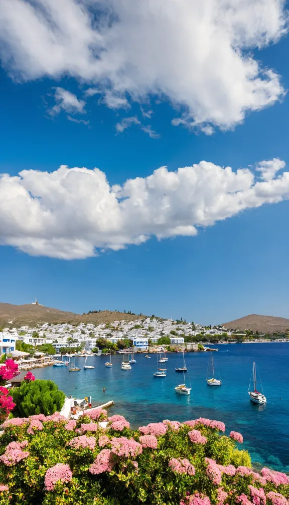 Beautiful homes close to sea in Bodrum