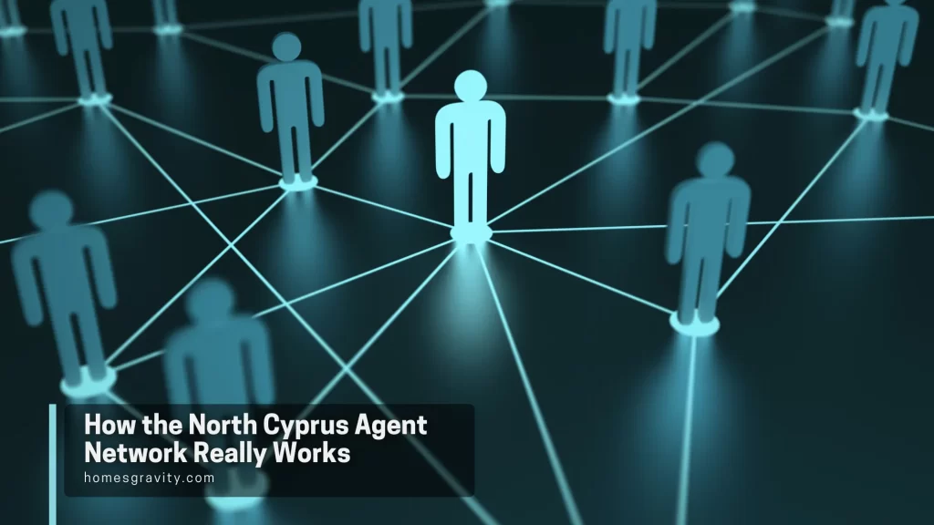 How the North Cyprus Agent Network Really Works