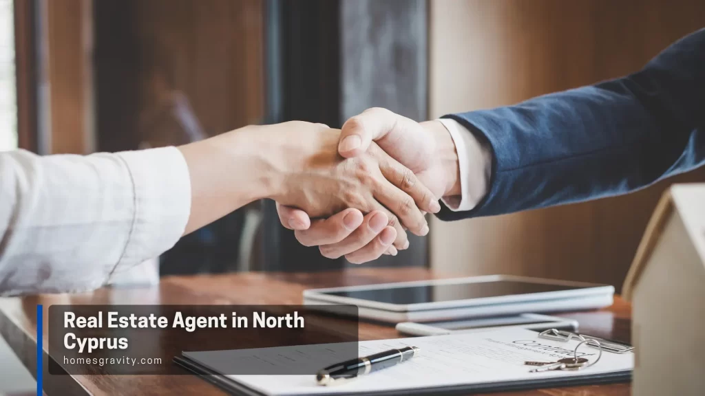 Real Estate Agent in North Cyprus