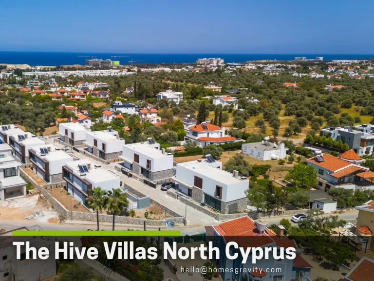 The Hive Villas Omag Developer